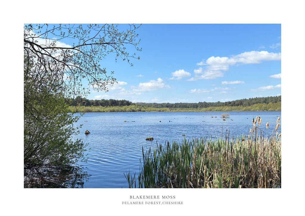 Blakemere Moss Delamere Limited Edition A2 Print /50