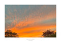 Milton Green Sunset Limited Edition A2 Print /50