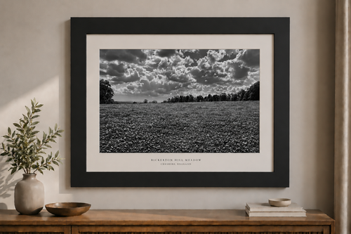 Bickerton Meadow (Black & White) A2 Print
