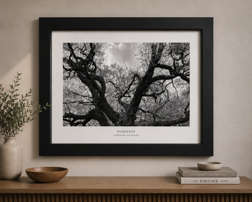 Bickerton Tree (Black & White) A2 Print
