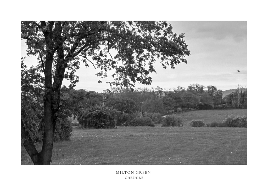 Milton Green Fields (Black & White) A2 Print