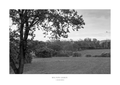 Milton Green Fields (Black & White) A2 Print