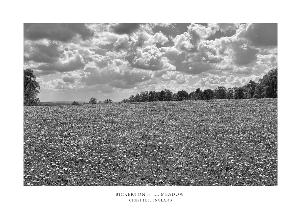 Bickerton Meadow (Black & White) A2 Print