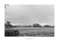 Milton Green Fields 2 (Black & White) A2 Print